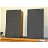 Image 1 : Pair of Technics Speakers