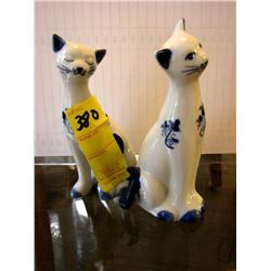 Two Blue & White Cats