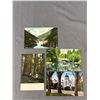 Image 3 : 8 Early Victoria B.C. Postcards