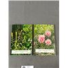 Image 7 : 7 Vintage Books On Gardening, Flowers, Trees etc