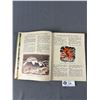 Image 3 : 1947 Daily Mail Annual For Boys & Girls w/ Good Illustrations & Photo's