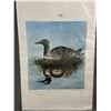 Image 2 : Vintage Metal Framed Exit Sign (Approx. 10.25" x 17") Ltd Ed. 52/100 Loon Shadow Print & More
