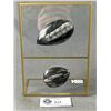 Image 1 : Orthoceras Fossil In Display. Retails $680.00