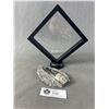 Image 1 : 4.2" Orthoceras Fossil In Display. Retails $480.00