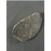Image 3 : 4.2" Orthoceras Fossil In Display. Retails $480.00