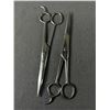 Image 4 : Lot Of Vintage Grooming Tools