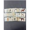 Image 2 : Lot of 34 1960s Post Cereal Dog Trading Cards