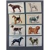Image 3 : Lot of 34 1960s Post Cereal Dog Trading Cards