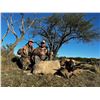 Image 1 : Argentina Big Game Hunt for 4 Hunters