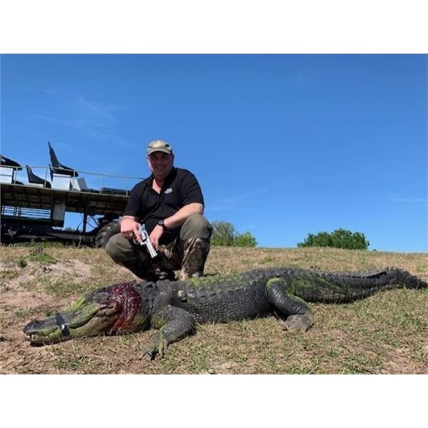 Florida Gator Hunt