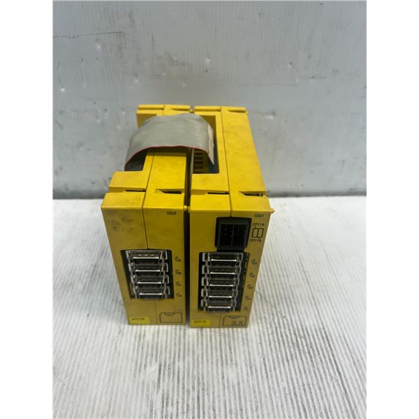 Lot of (2) Fanuc Modules #A02B-0236-C204 & #A02B-0236-C203
