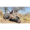 Image 7 : 10 Day/9 Night Plains Game Hunt in the Limpopo Province South Africa for 2 Hunters for 2 Buffalo