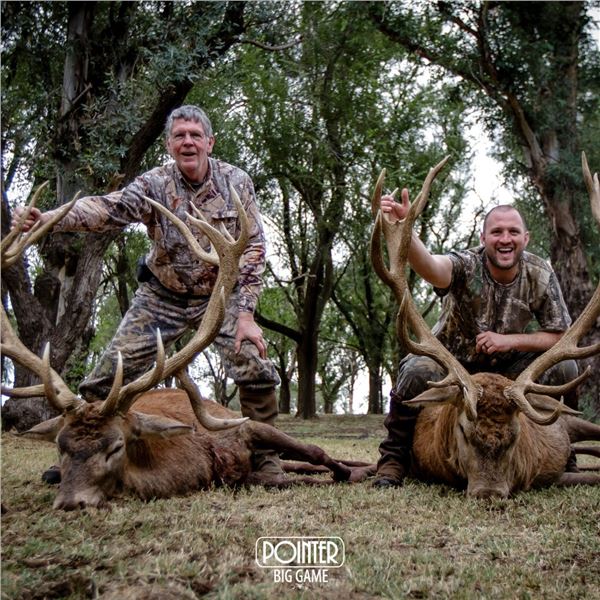 4 Day Argentina Red Stag for 2 Hunters with Pointer Big Game in Argentina