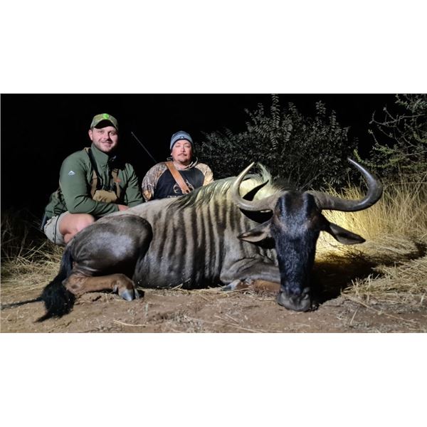 10-Day All-Inclusive Plains Game Hunt 1 Hunter in the Limpopo Valley * Wildebeest* Impala * Warthog