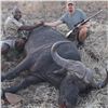 Image 8 : Bull Buffalo Hunt for 1 Hunter in Zimbabwe, Africa with Elephant Trails Safaris