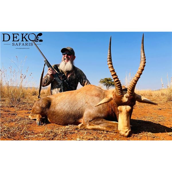 7 Day All Inclusive South Africa Plains Game Hunt for 4 Hunters and 4 Observers South Africa