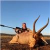 Image 4 : 7 Day All Inclusive South Africa Plains Game Hunt for 4 Hunters and 4 Observers South Africa