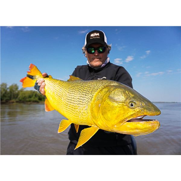 4 Day/5 Night Golden Dorado Fishing Trip in Argentina with Nervous Waters