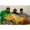 Image 3 : 4 Day/5 Night Golden Dorado Fishing Trip in Argentina with Nervous Waters