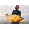 Image 5 : 4 Day/5 Night Golden Dorado Fishing Trip in Argentina with Nervous Waters