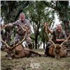 Image 1 : 4 Day Argentina Red Stag for 2 Hunters with Pointer Big Game in Argentina