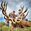 Image 2 : 4 Day Argentina Red Stag for 2 Hunters with Pointer Big Game in Argentina