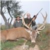 Image 8 : 4 Day Argentina Red Stag for 2 Hunters with Pointer Big Game in Argentina