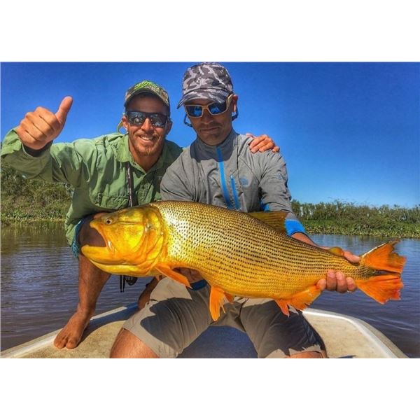 5 Day Accommodations For 2 Hunters 1 Wildboar Trophy Fee Per Hunter & Golden Dorado Fishing