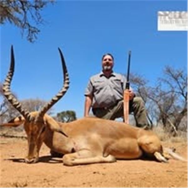 10 Day/9 Night Plains Game Hunt in the Limpopo Province for 4 Hunters 1 Blesbuck and 1 Impala Each