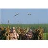 Image 4 : 4 Day Ultimate Duck & Mixed Bag Hunt  2 Hunters *San Martin Lodge* with Argentina Heritage Outdoors