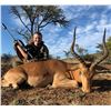 Image 6 : 7 Day All Inclusive South Africa Plains Game Hunt for 4 Hunters in South Africa * Includes 4 Impala