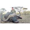 Image 3 : 10 Day/9 Night in the Limpopo Province South Africa for 2 Hunters for 2 Cow Buffalo
