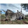 Image 10 : 8 Day – Amazing South Africa hunt for 14 animals to be shared by 2 Hunters Includes 1 Kudu