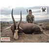 Image 5 : 8 Day – Amazing South Africa hunt for 14 animals to be shared by 2 Hunters Includes 1 Kudu
