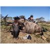 Image 7 : 8 Day – Amazing South Africa hunt for 14 animals to be shared by 2 Hunters Includes 1 Kudu