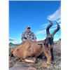 Image 9 : 8 Day – Amazing South Africa hunt for 14 animals to be shared by 2 Hunters Includes 1 Kudu