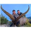 Image 3 : Beceite Ibex hunt in Zaragoza Spain donated by 4 Aces Outfitters