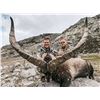 Image 4 : Beceite Ibex hunt in Zaragoza Spain donated by 4 Aces Outfitters