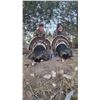 Image 10 : Guided Merriam Turkey Hunt for 2 Hunters in Southwest Colorado with Western Sky Outfitters