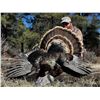 Image 1 : Guided Merriam Turkey Hunt for 2 Hunters in Southwest Colorado with Western Sky Outfitters