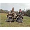 Image 3 : Guided Merriam Turkey Hunt for 2 Hunters in Southwest Colorado with Western Sky Outfitters