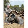 Image 9 : Guided Merriam Turkey Hunt for 2 Hunters in Southwest Colorado with Western Sky Outfitters