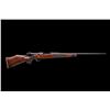 Image 3 : Dallas Safari Club 2024 Chapter Gun - Weatherby Mark V Deluxe 1 of 21 with an Engraved Floorplate
