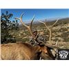 Image 1 : Fully Guided Private Land Trophy Bull Elk Hunt in New Mexico for 1 Hunter GMU 36 in 2025 w/ LOETH