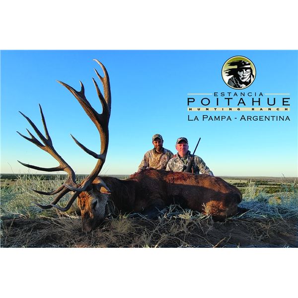 6-Nights Argentina Red Stag Hunt for 2 Hunters with Poitahue Ranch