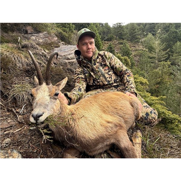 4 Day Hunt for 2 Hunter & 2 Observer in Northeast Spain to hunt 1 Animal Each Hunters Choice