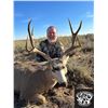 Image 5 : Fully Guided Private Land Archery Mule Deer Hunt in NM for 1 Hunter in GMU 31 Jan of 2026 w/ LOETH