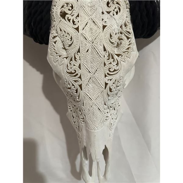 Hand Carved buffalo skull with long carved horn