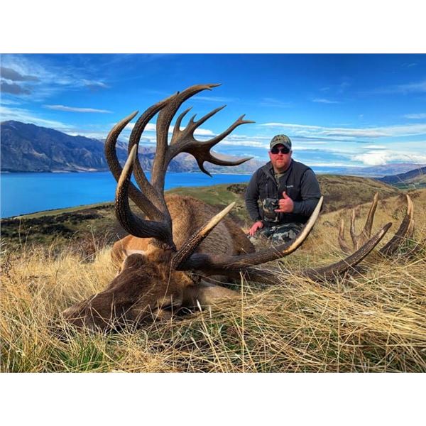 Gold Medal Red Stag Hunt for 1 Hunter and one non-hunter in New Zealand Includes Trophy Fee with Gle