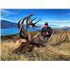 Image 1 : Gold Medal Red Stag Hunt for 1 Hunter and one non-hunter in New Zealand Includes Trophy Fee with Gle